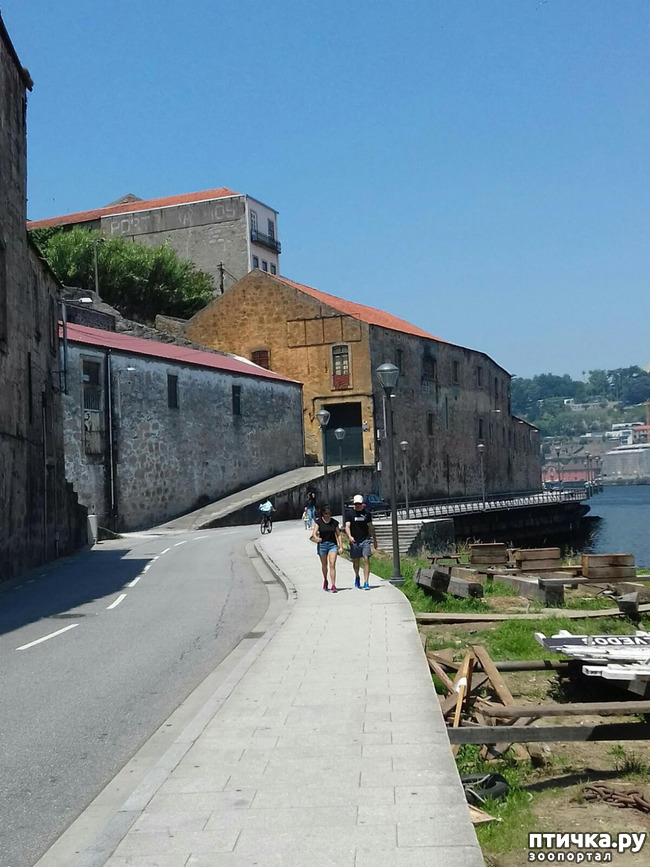 ���� 18: ����������. �����. ������ � ��������.