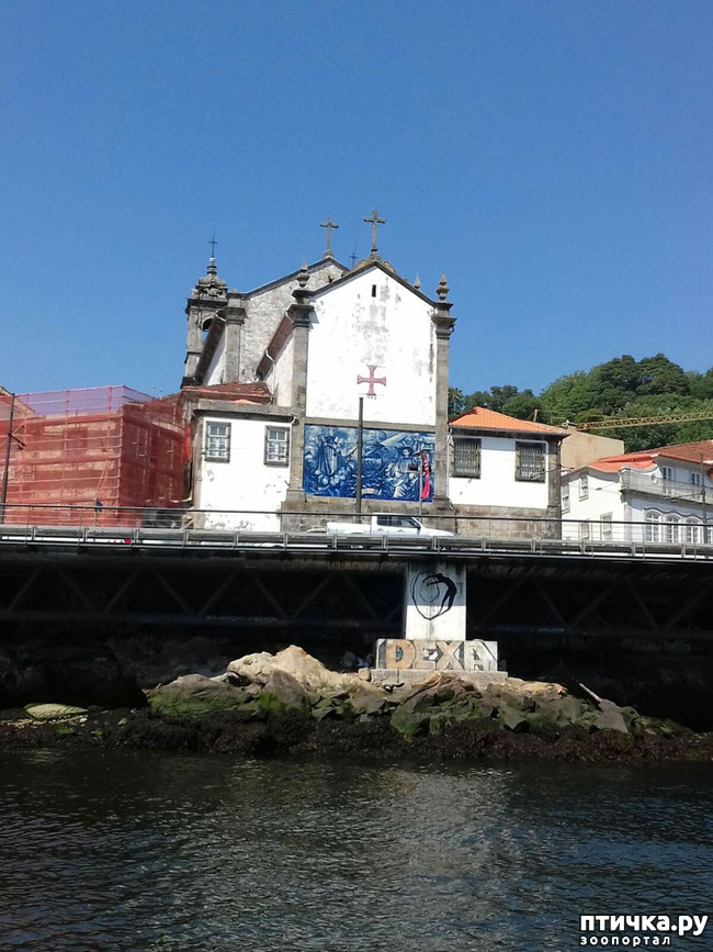 ���� 2: �����. 