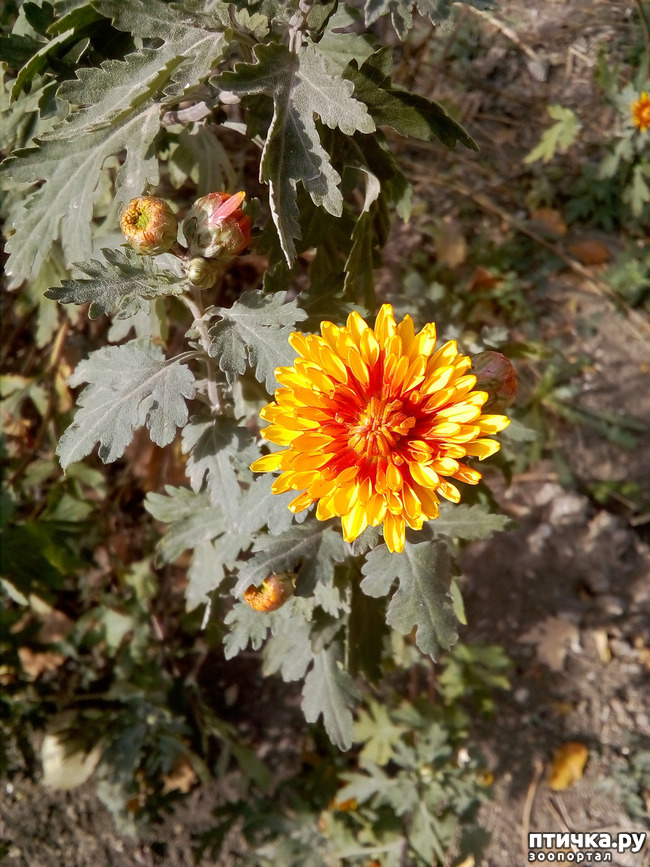 ���� 2: ��� ����� �����)))