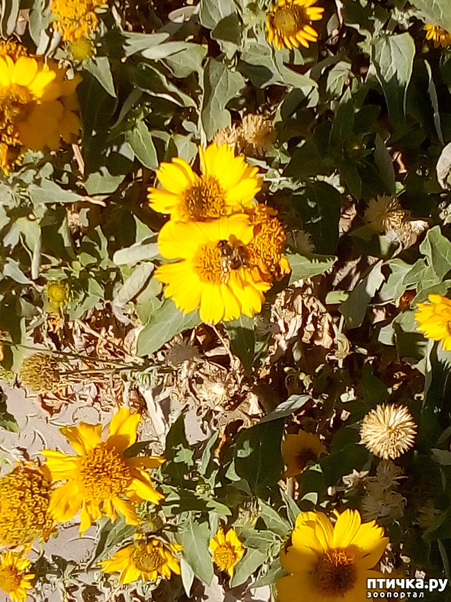 ���� 4: ��� ����� �����)))