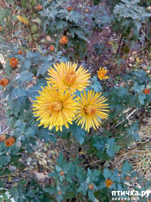 ����: ��� ����� �����)))