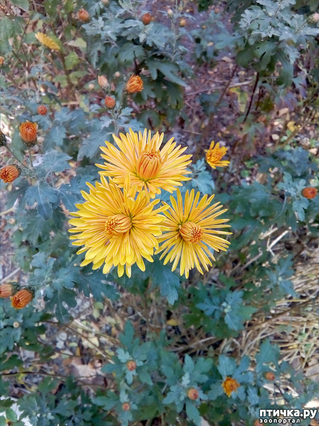 ���� 1: ��� ����� �����)))