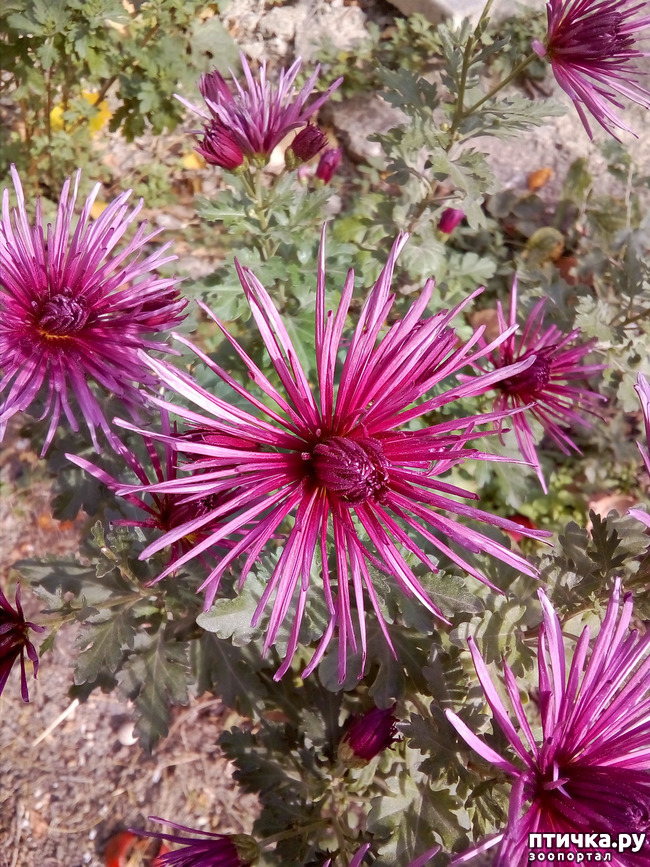 ���� 3: ��� ����� �����)))