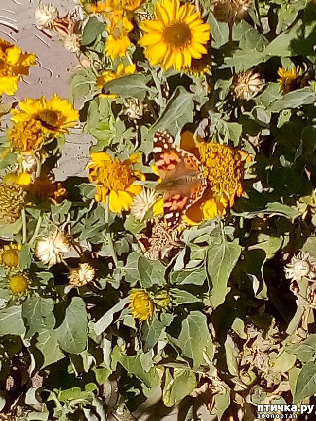 ���� 5: ��� ����� �����)))