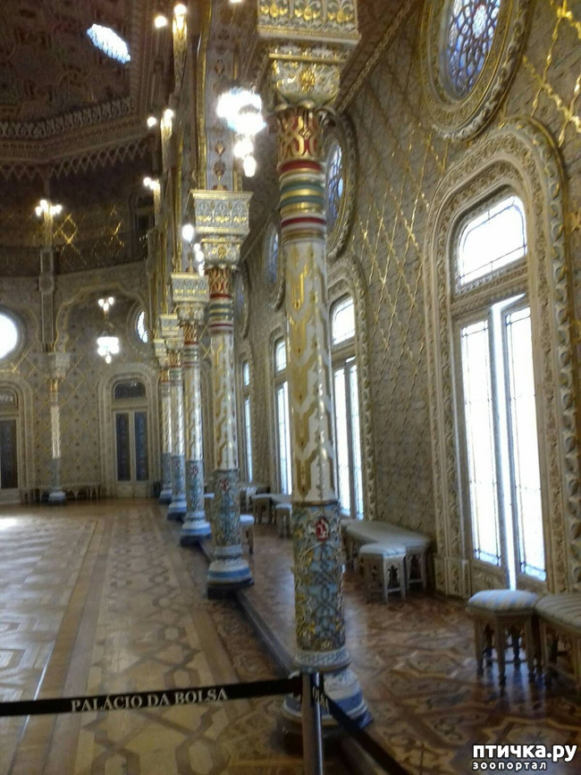 ���� 4: �����. 