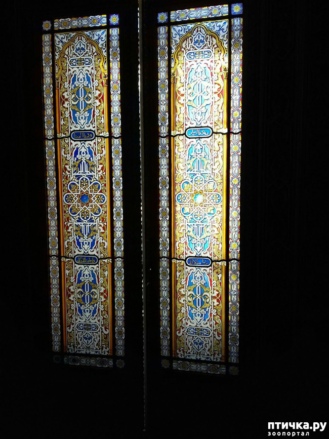 ���� 5: �����. 