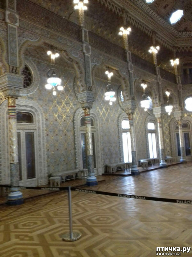 ���� 6: �����. 