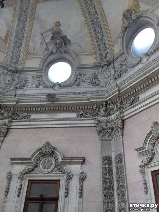 ���� 7: �����. 