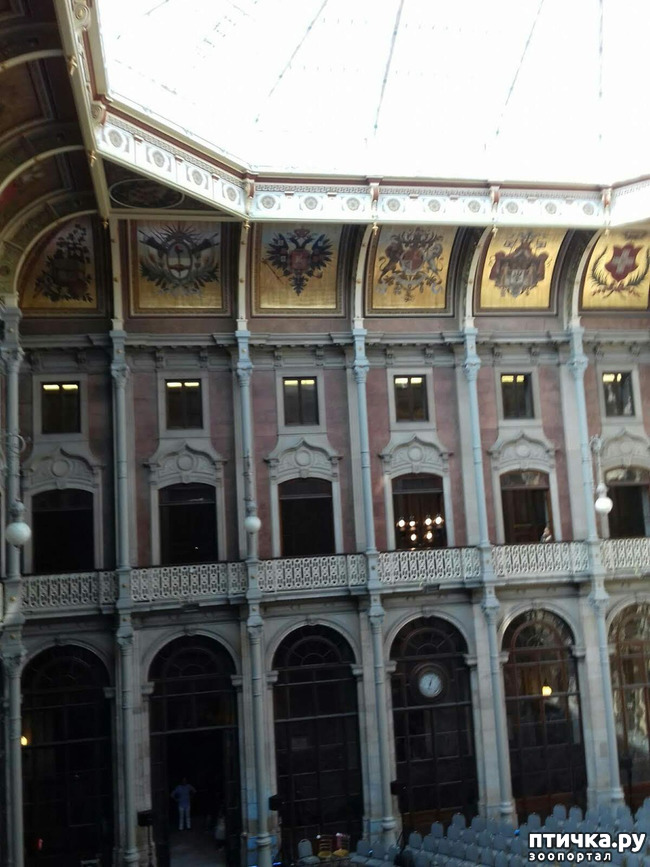 ���� 8: �����. 