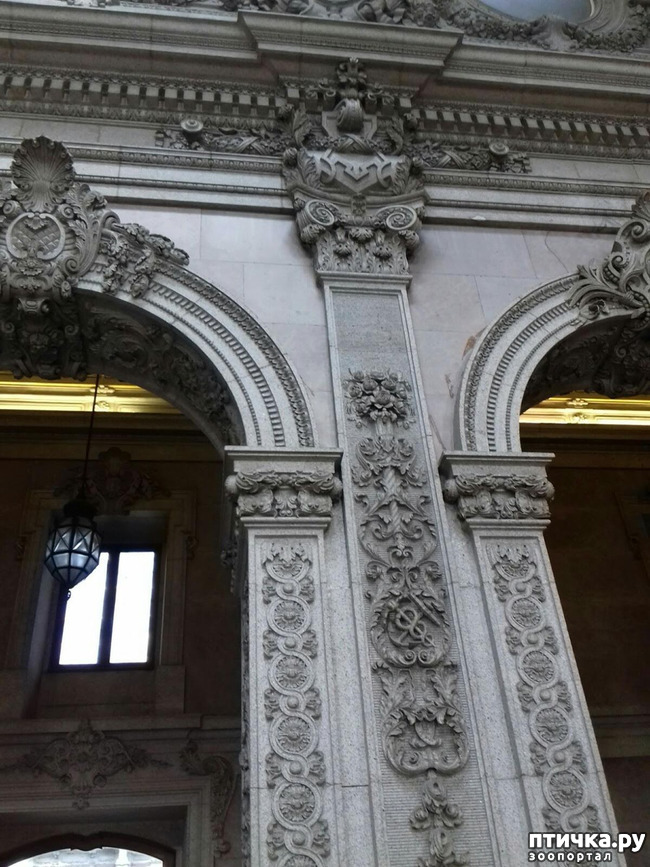 ���� 9: �����. 