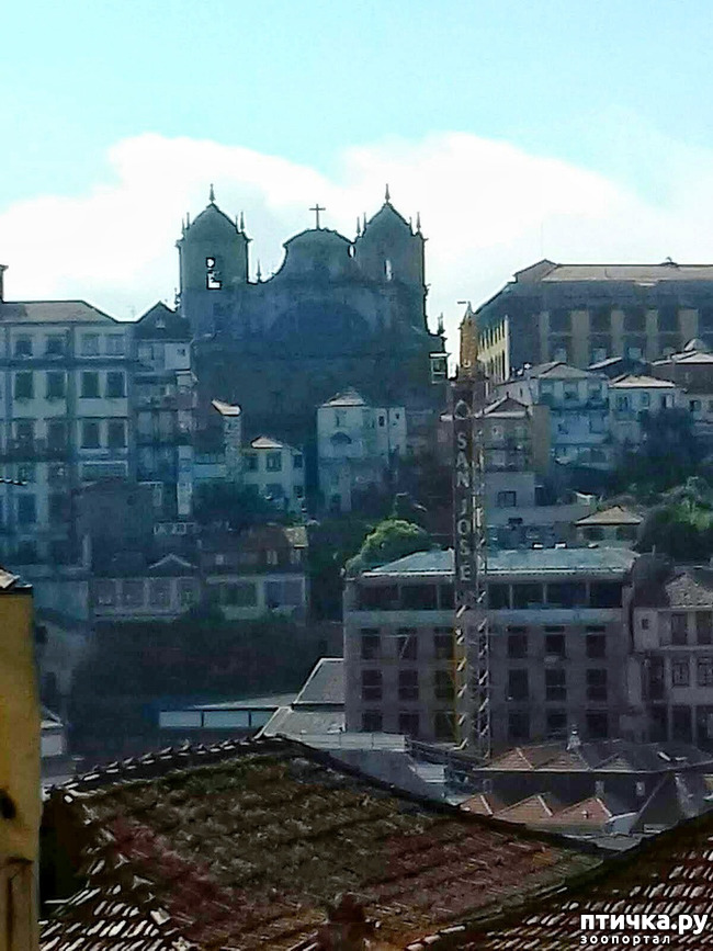 ���� 10: �����. 