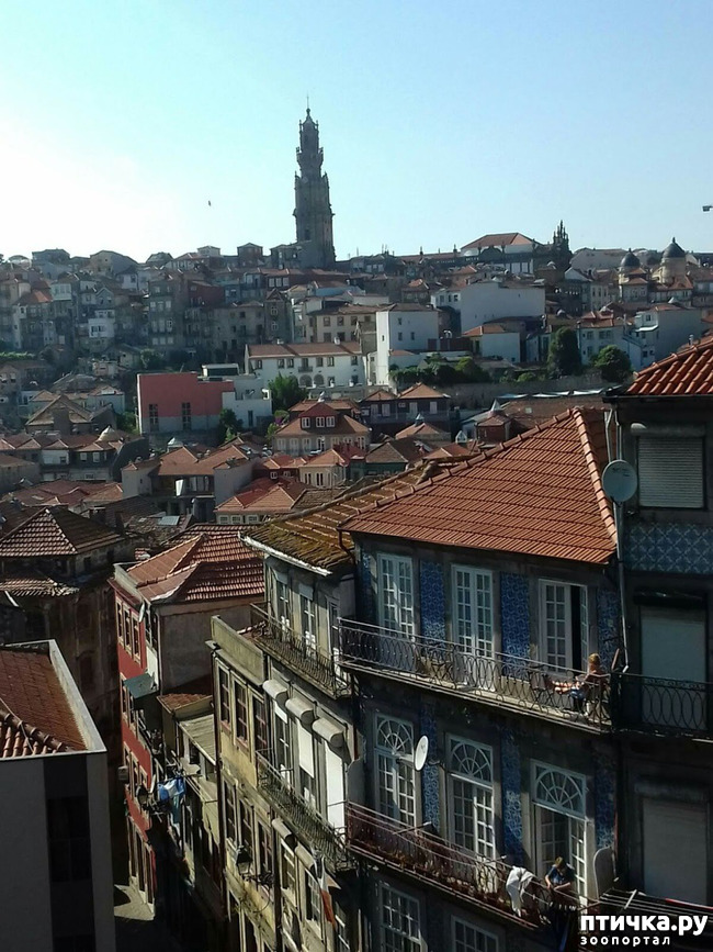 ���� 11: �����. 