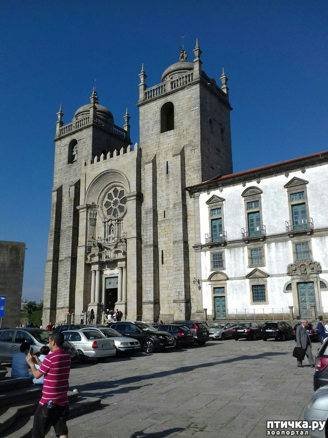 ���� 12: �����. 