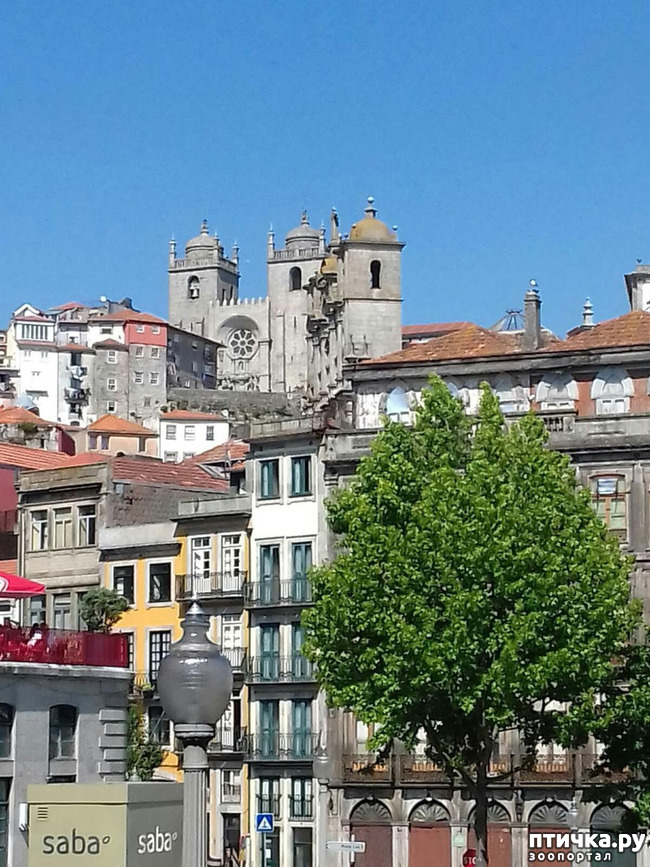 ���� 13: �����. 