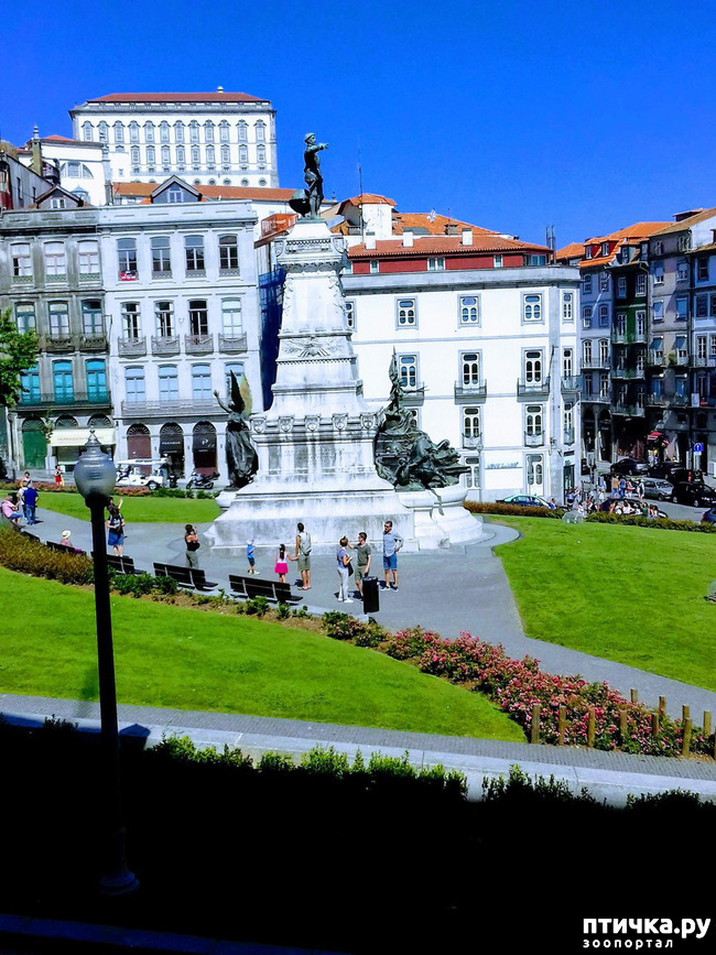 ���� 14: �����. 