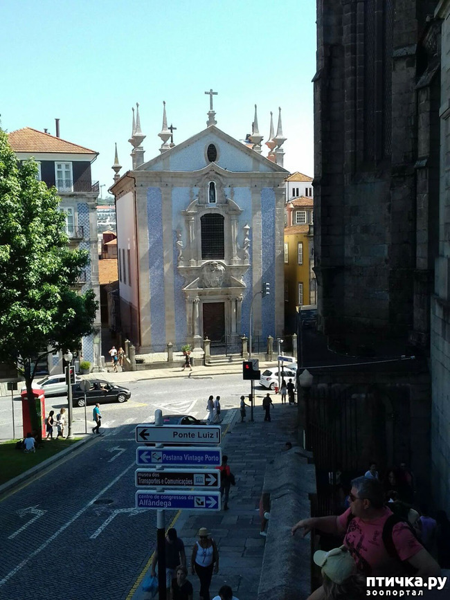 ���� 15: �����. 