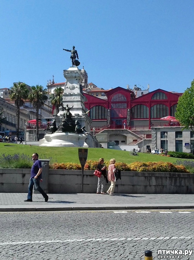 ���� 16: �����. 