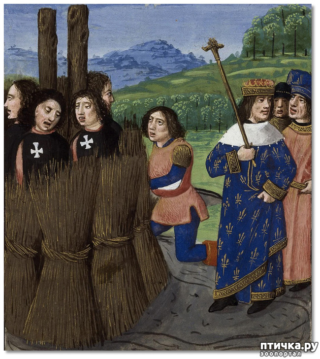 ���� 1: �����. 