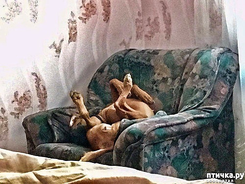 ���� 1: ��� �� ��� �������? 7