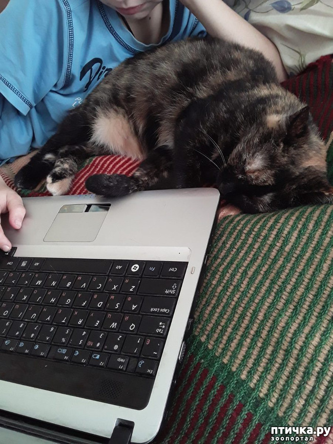 ���� 1: ���������-���������