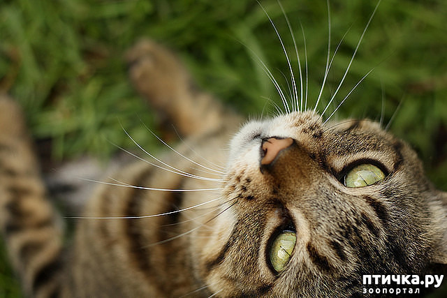 ���� 1: ��������