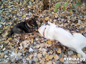 ����: ������� ����� ����� ��������.