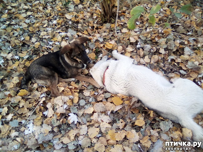 ���� 1: ������� ����� ����� ��������.