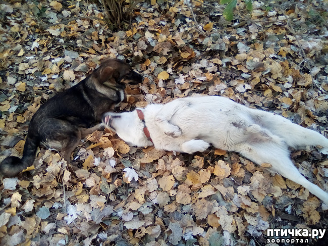 ���� 2: ������� ����� ����� ��������.