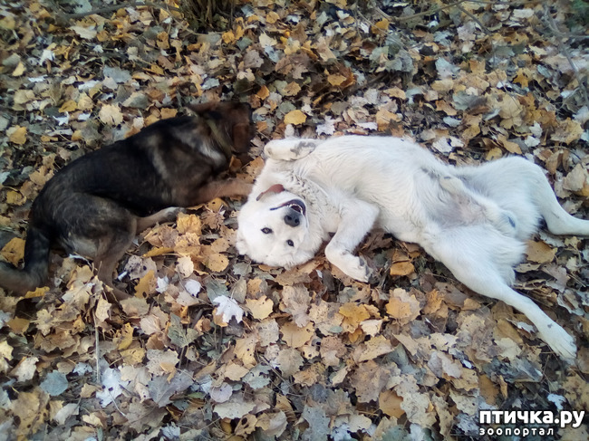 ���� 3: ������� ����� ����� ��������.