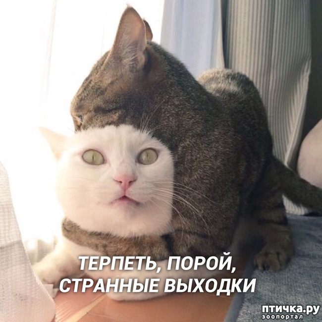 ���� 6: ������, ���...