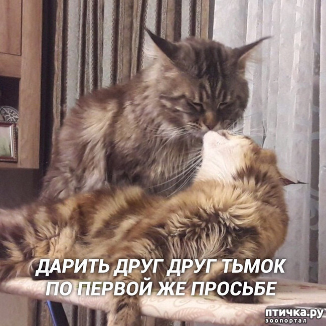 ���� 3: ������, ���...