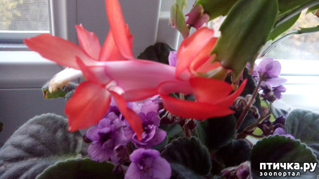 ���� 1: �������� �� �����������