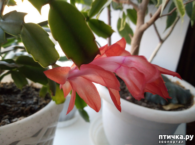 ���� 5: �������� �� �����������