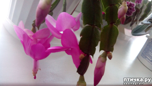 ���� 6: �������� �� �����������