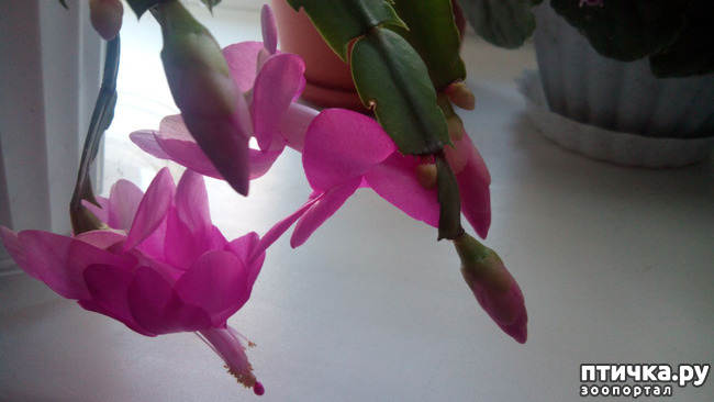 ���� 7: �������� �� �����������