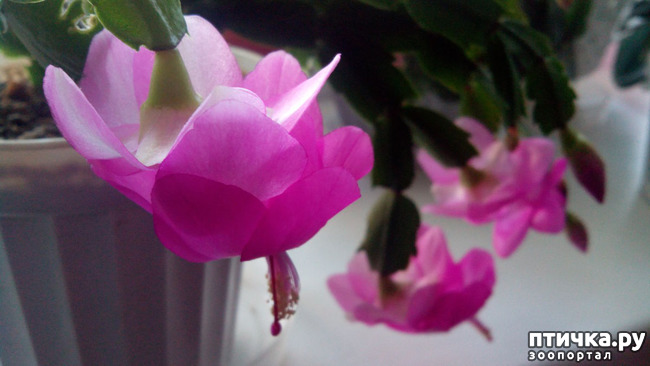 ���� 8: �������� �� �����������