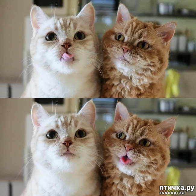 ���� 5: ����� ����� ���� ������, � �� ����� �����-��! ��� ���� � ����