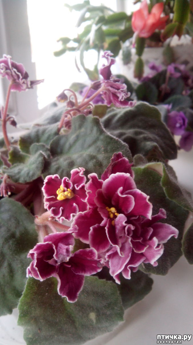 ���� 9: �������� �� �����������