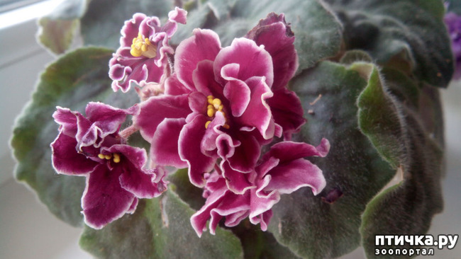 ���� 10: �������� �� �����������