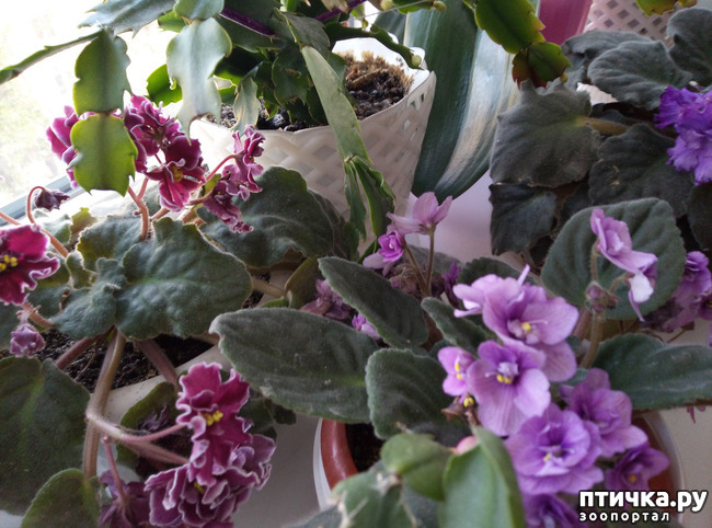 ���� 14: �������� �� �����������