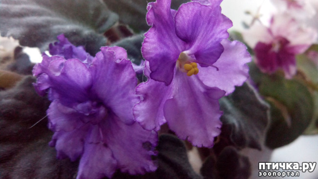 ���� 15: �������� �� �����������