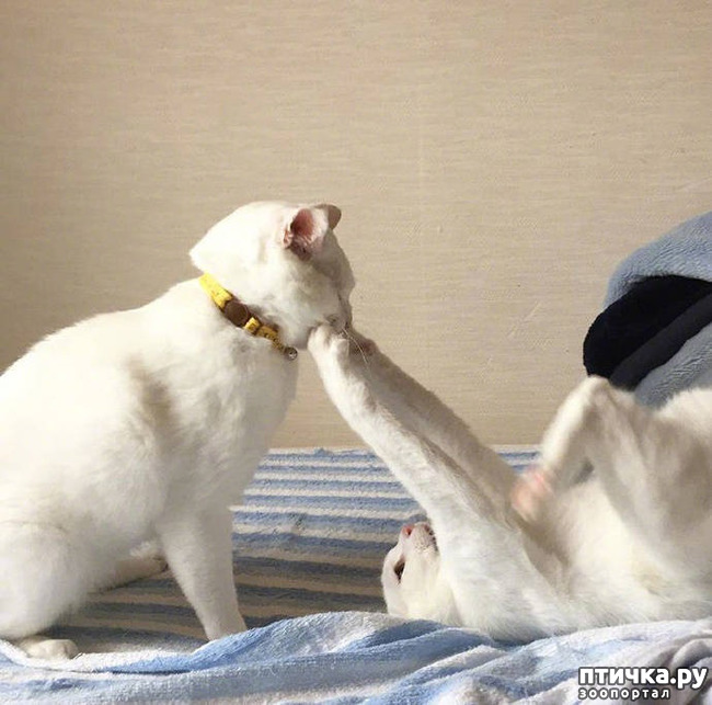 ���� 14: ����� ����� ���� ������, � �� ����� �����-��! ��� ���� � ����