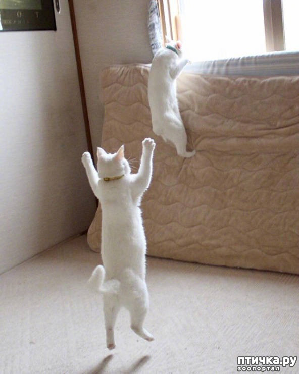 ���� 13: ����� ����� ���� ������, � �� ����� �����-��! ��� ���� � ����