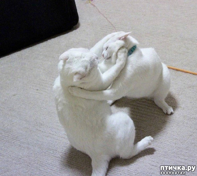 ���� 15: ����� ����� ���� ������, � �� ����� �����-��! ��� ���� � ����