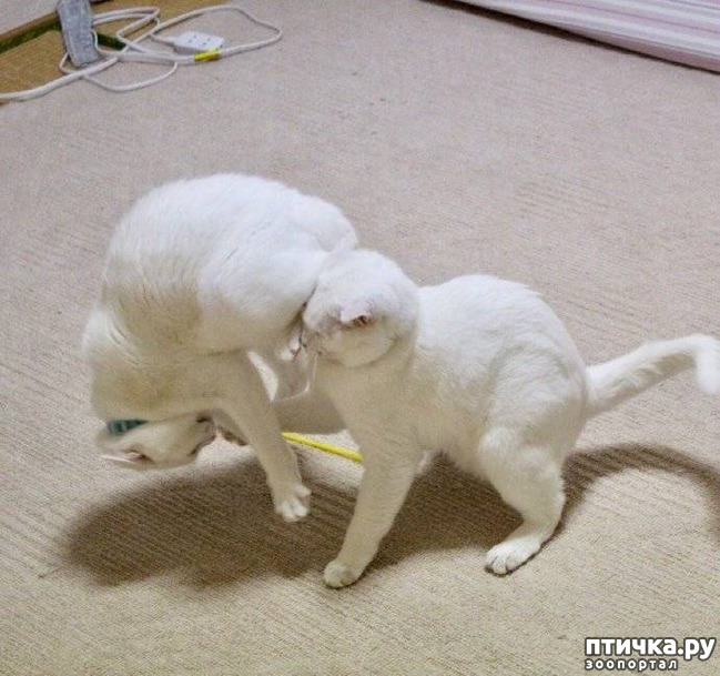 ���� 16: ����� ����� ���� ������, � �� ����� �����-��! ��� ���� � ����