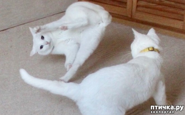 ���� 18: ����� ����� ���� ������, � �� ����� �����-��! ��� ���� � ����