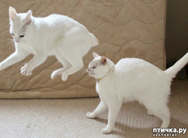 ���� 19: ����� ����� ���� ������, � �� ����� �����-��! ��� ���� � ����