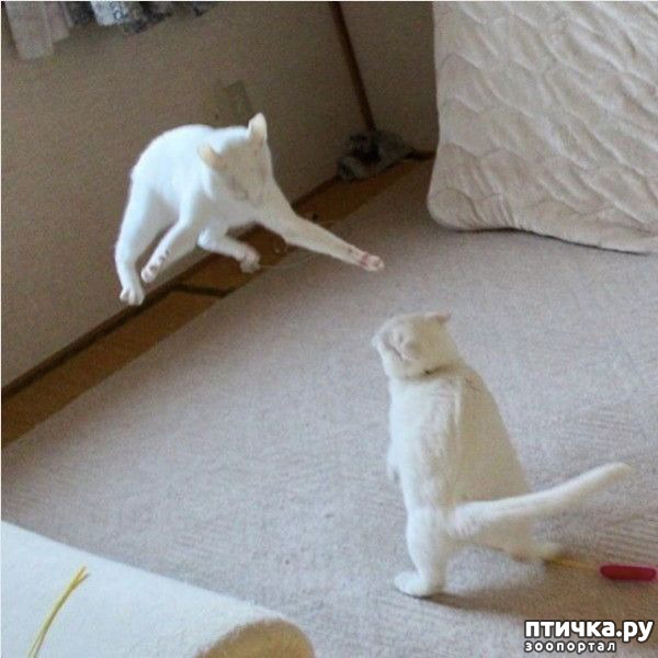 ���� 20: ����� ����� ���� ������, � �� ����� �����-��! ��� ���� � ����