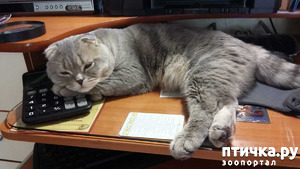 ����: ����� � ����