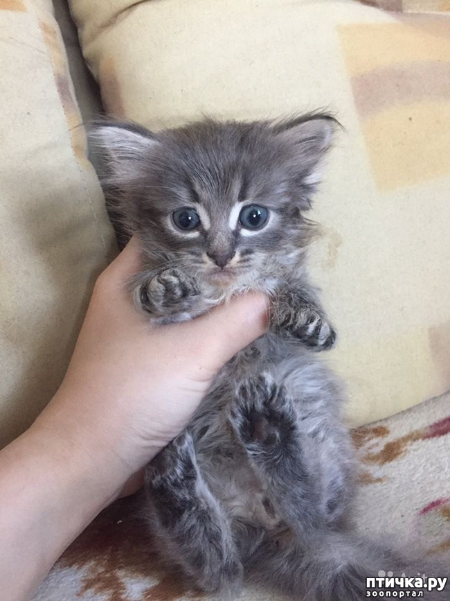 ���� 3: ���Ĩ���